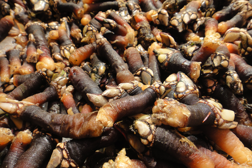 158c06feaa3ea50ac3067535d6a5d2417042459d