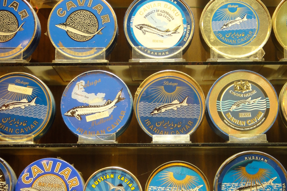 c49223e530efe2a6c31d215d8a6b6f224b6a730f