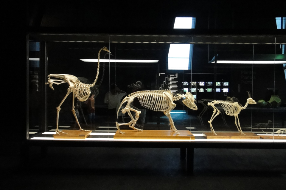 f010dbb7d62a00a77c51154a3d6da0e679863ca7