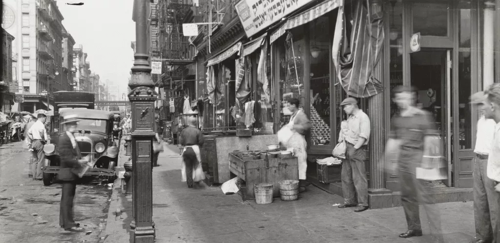 The Pickled City 2 The Pickled City