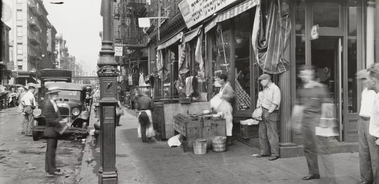 thepickledcity01 1280x623 png