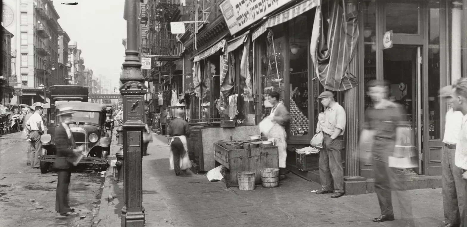 The Pickled City 5 The Pickled City