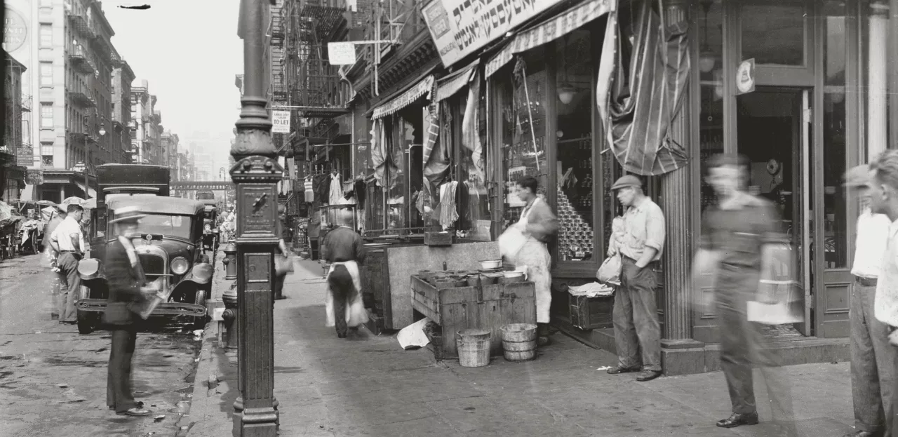 thepickledcity01 2 1280x623 png